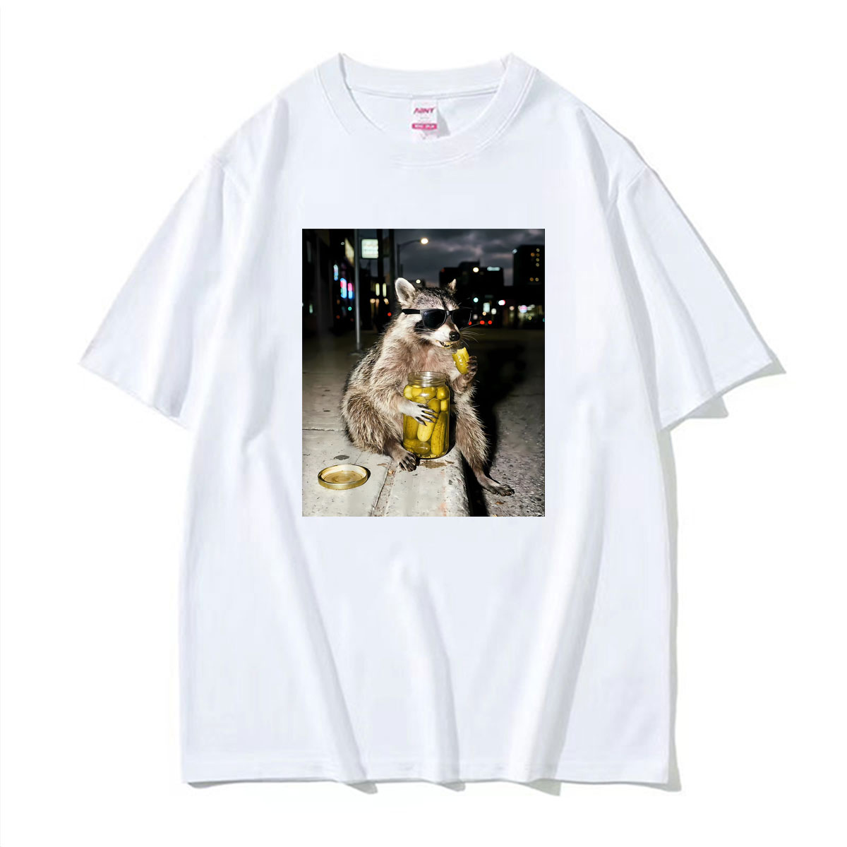 Women Fashion Png - Camisetas Engraçadas de Guaxinim com Óculos